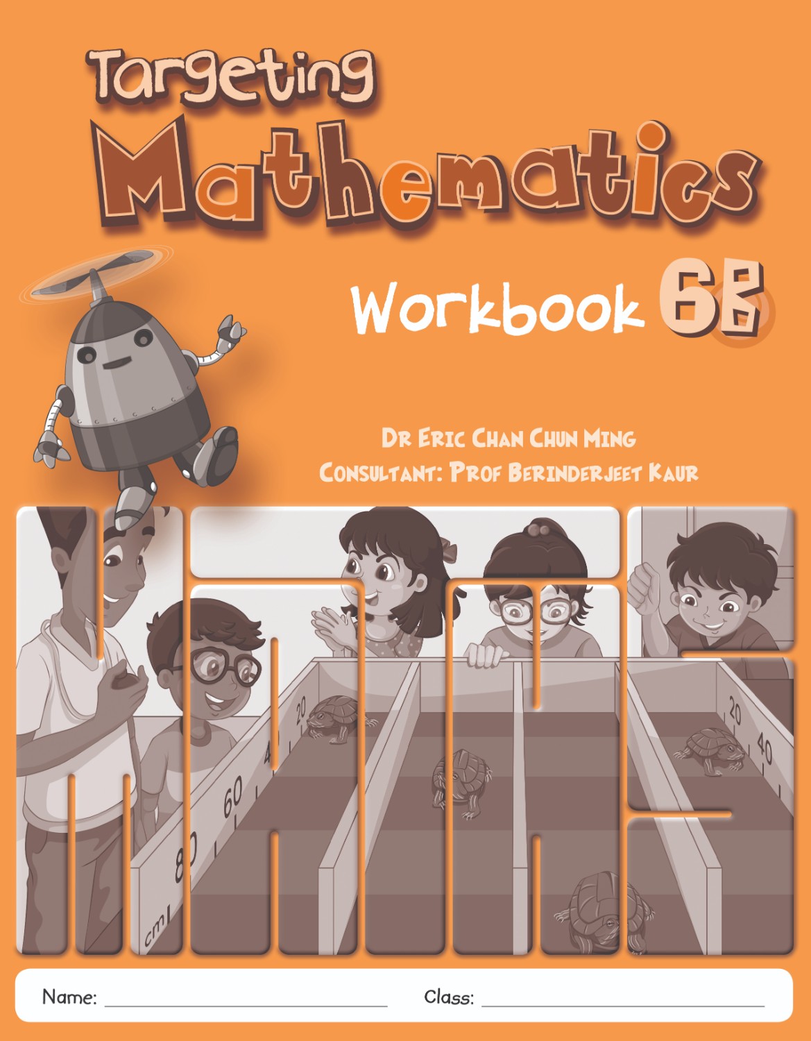 Targeting Mathematics Workbook 6B