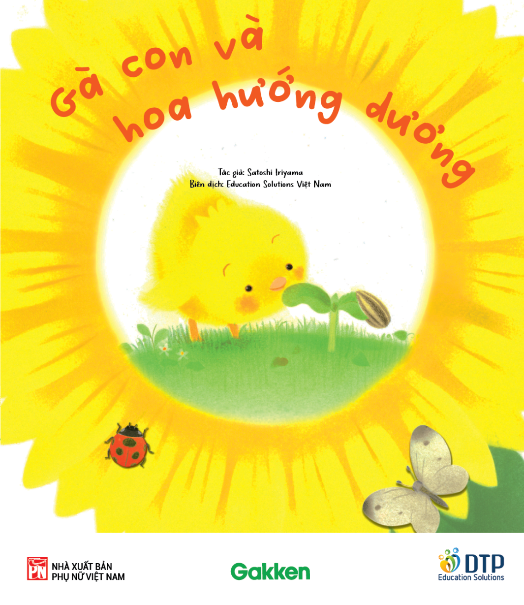 Gà con và hoa hướng dương